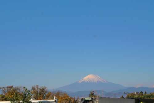 来週までにやること